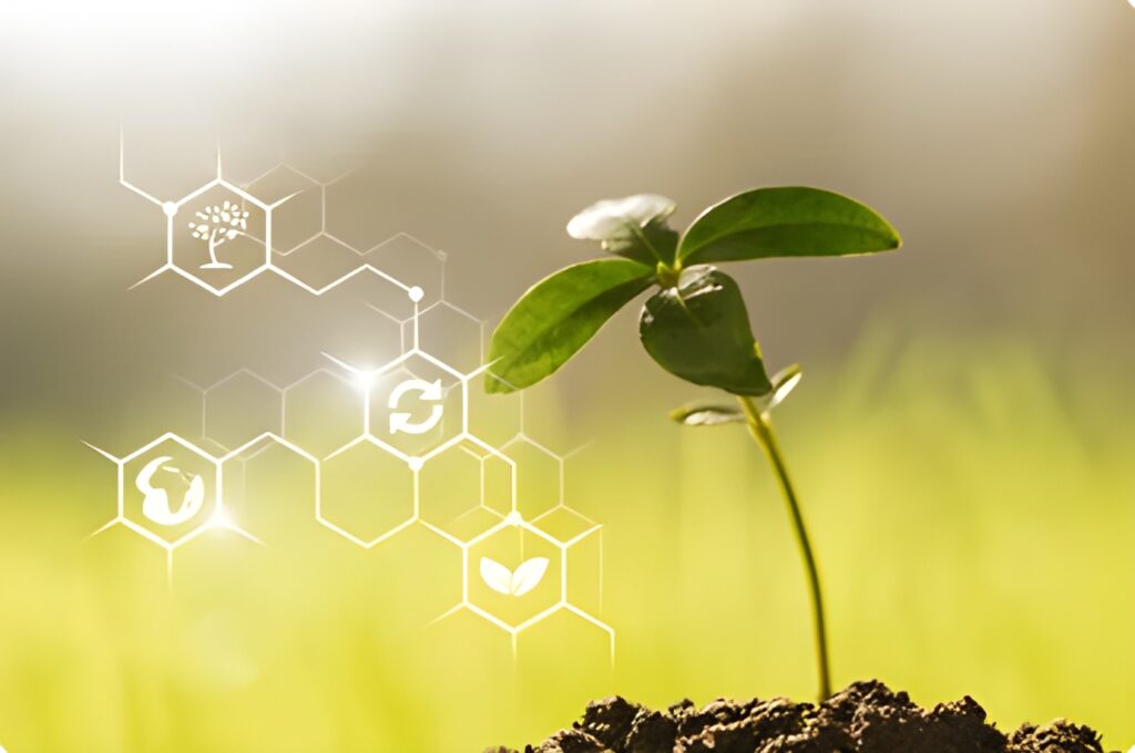 Inteligencia Artificial aplicada al pistachero: Innovaciones para optimizar la producción, predecir cosechas y gestionar recursos
