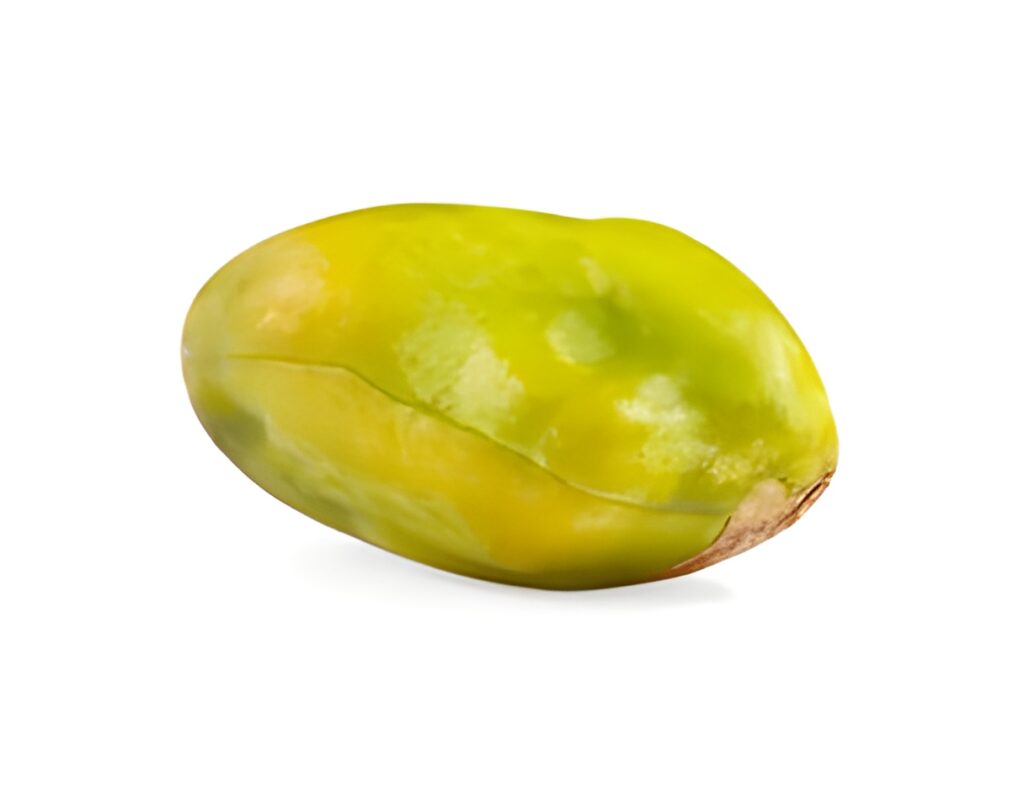Impacto de la Calidad y Calibre en el Precio Kilo Pistacho Agricultor: ¿Cómo Maximizar el Valor?
