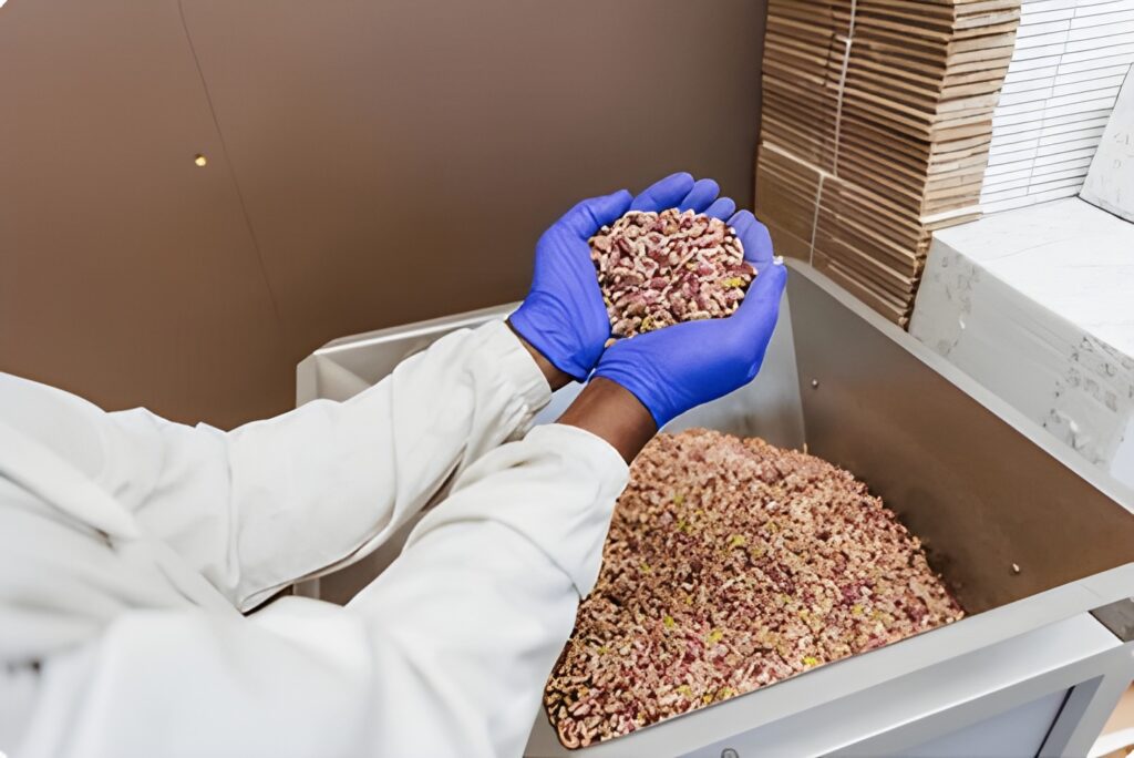 Maximizando la Producción de Pistacho: Estrategias Avanzadas para Aumentar los Kilos por Hectárea